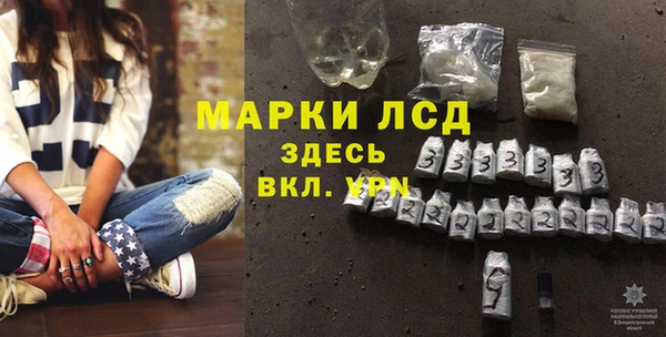 сатива Нязепетровск