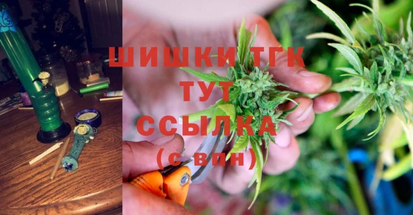 сатива Нязепетровск