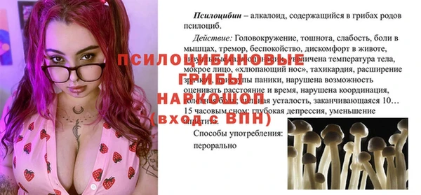 сатива Нязепетровск