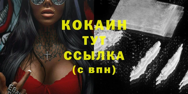 винт Няндома