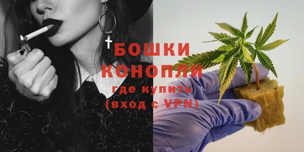 сатива Нязепетровск