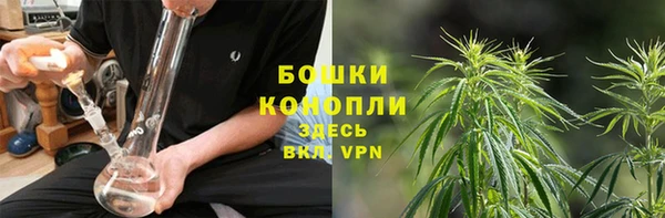 винт Няндома
